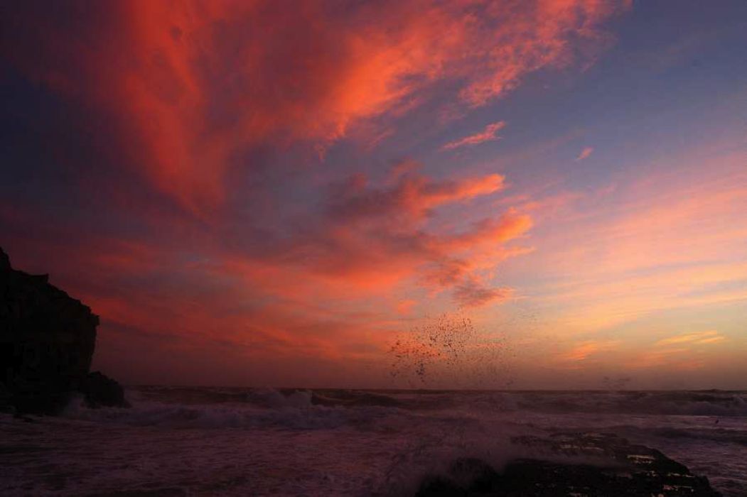 Nom de l'image : D1168161-1_(c)Norbert-JUNG — Description :